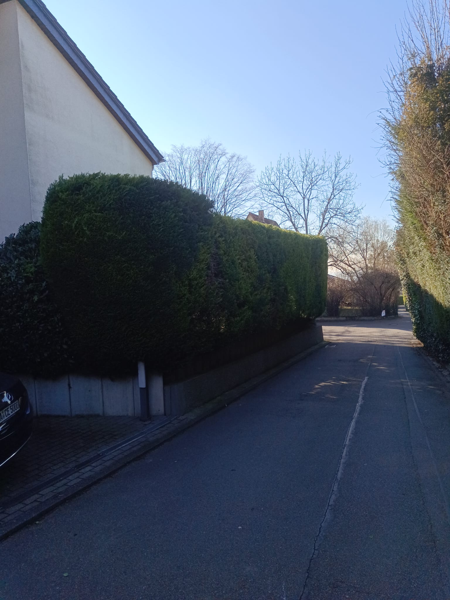 Gartenpflege 12