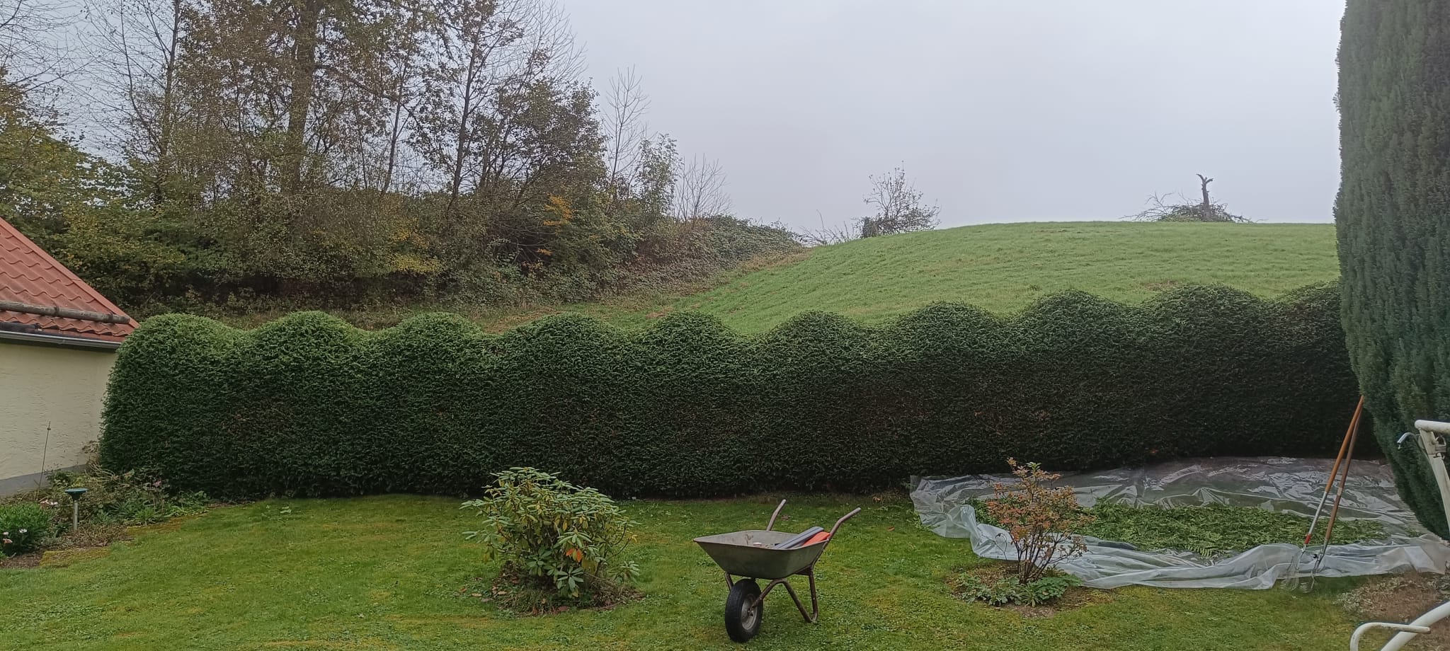Gartenpflege 13
