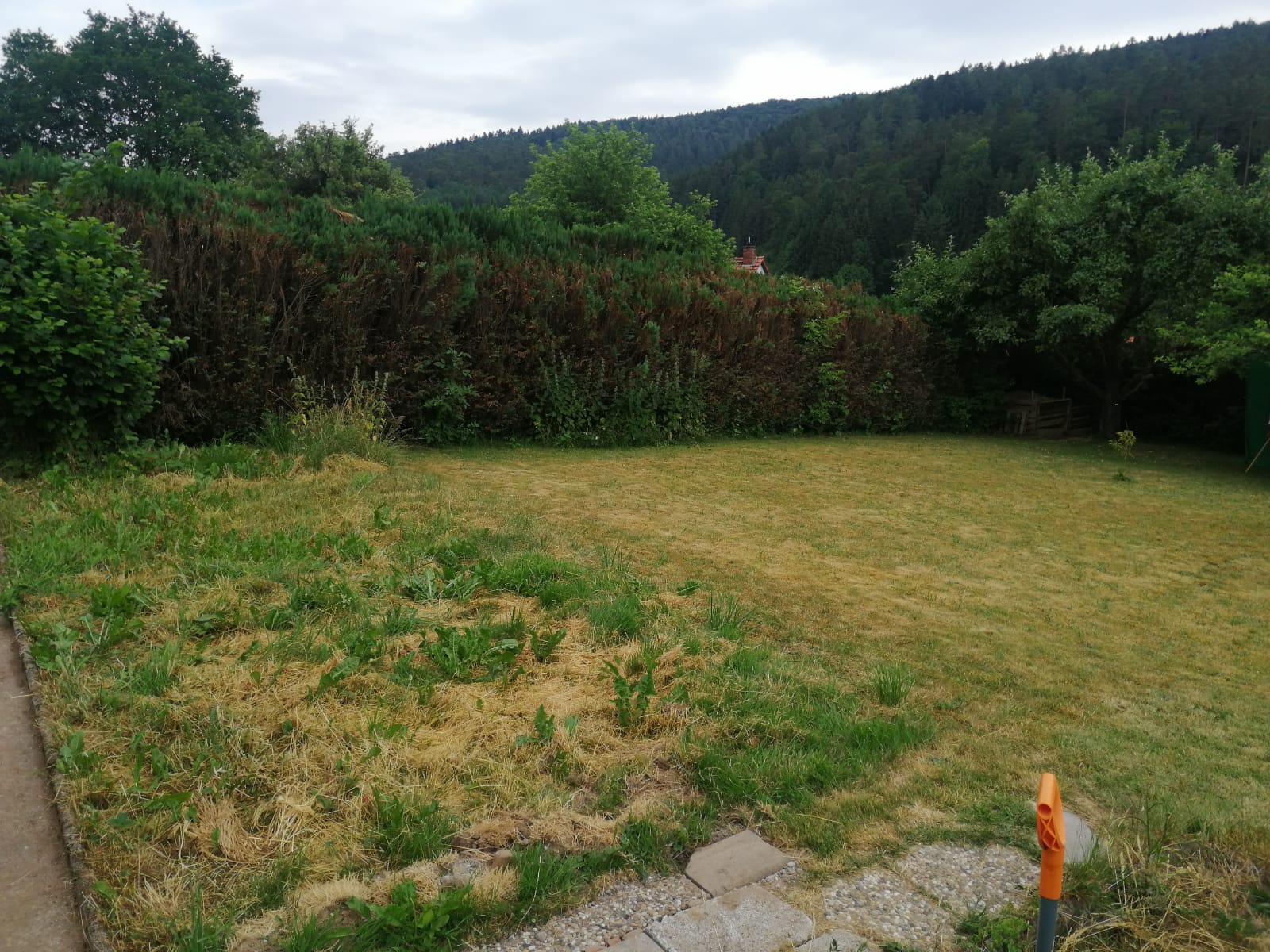 Vorher